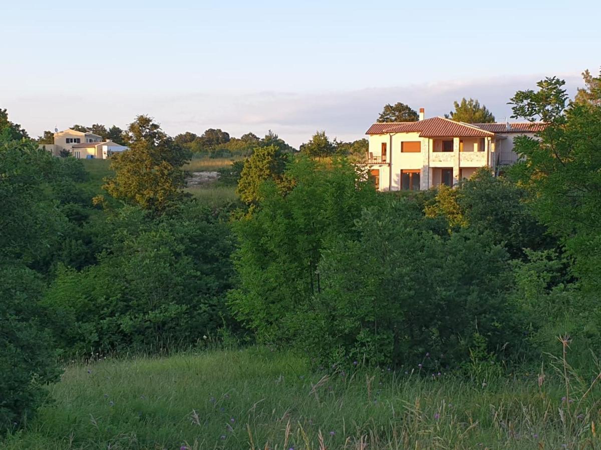 Villa Istra Divsici ภายนอก รูปภาพ