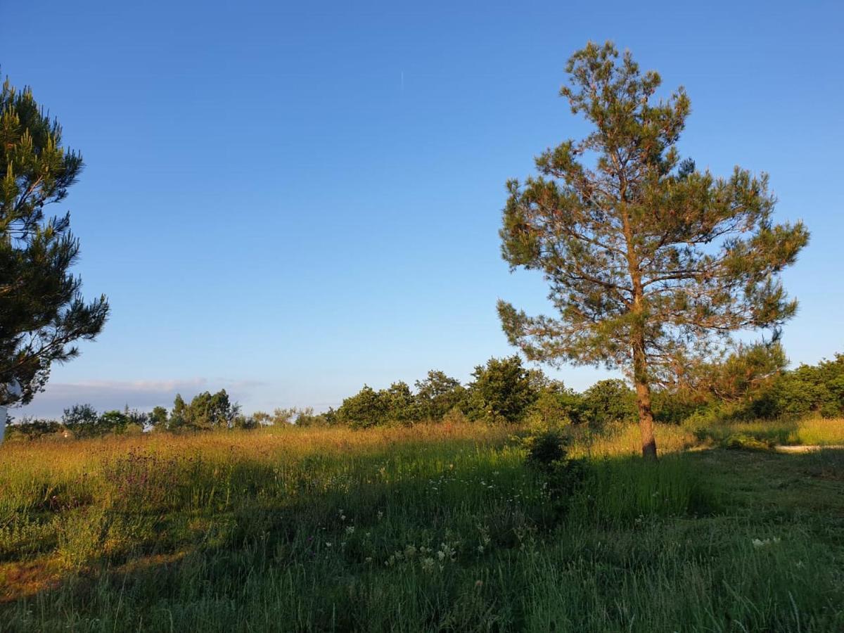 Villa Istra Divsici ภายนอก รูปภาพ
